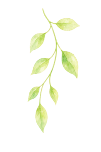leaf3
